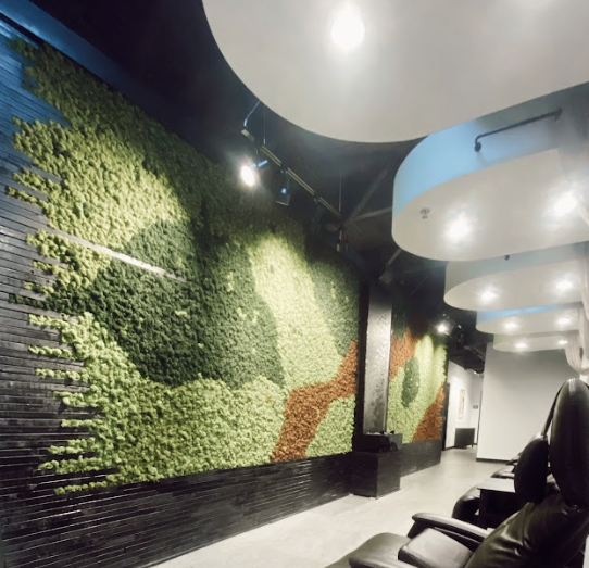 A room with a wall covered in moss.